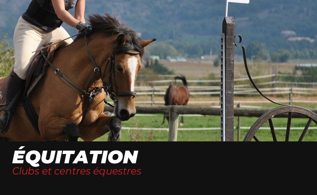 Gants D'équitation Great Grips – Néoprène Doux, Taille S, Poignées Renforcées Vintage