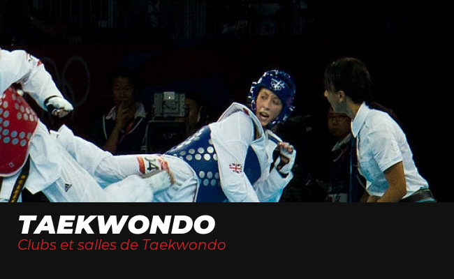 Le Taekwondo : Tradition, Technique Et Compétition - Michel Carron - État Correct