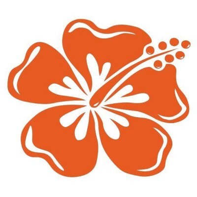 logo Budo Sport de Tanger