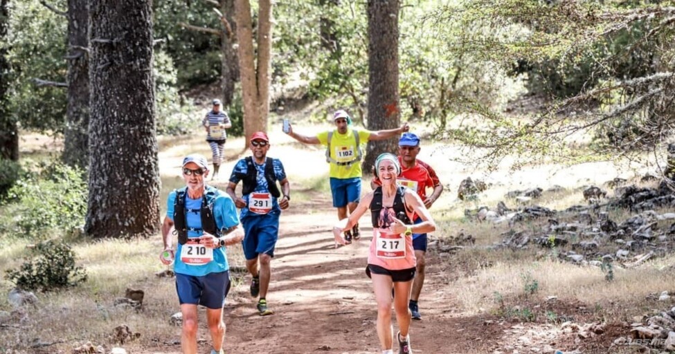 Trail des Cèdres 2024