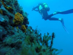 Moroccan Diving Center plongée sous marine al hoceima Al Hoceïma