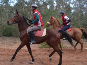 Al Farid à Casablanca