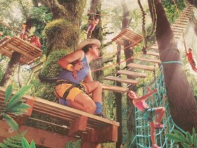 Accrobranche Souss Park  à Agadir Accrobranche Souss Park  à Agadir