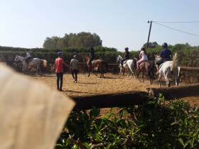 Club Le Barry equitation dar bouazza le barry Dar Bouazza