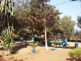 Club Le Barry Club le barry hippique equitation Dar Bouazza