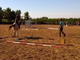 La Ferme Equestre de Dar Bouazza à Dar Bouazza La Ferme Equestre de Dar Bouazza à Dar Bouazza