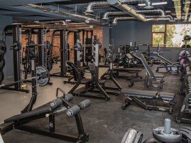 Alpha Form Alpha form marrakech Marrakech