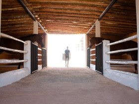 Charly Jumper equitation marrakech charly jumper Marrakech