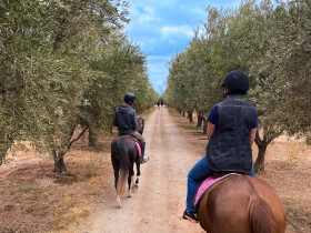 Charly Jumper equitation marrakech charly jumper Marrakech