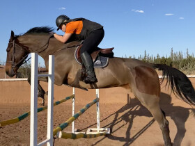 Charly Jumper equitation marrakech charly jumper Marrakech