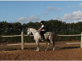 Centre Hippique International Chtouka Centre Hippique International Chtouka El Jadida