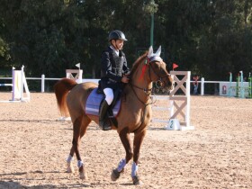 Poney club de Rabat à Rabat Poney club de Rabat à Rabat