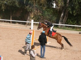 Poney club de Rabat à Rabat Poney club de Rabat Poney club de Rabat Rabat
