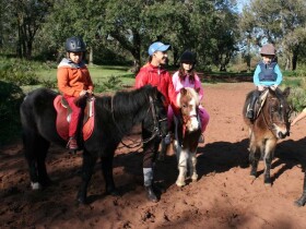 Poney club de Rabat à Rabat Poney club de Rabat Poney club de Rabat Rabat