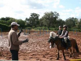 Ecoles d’équitation à Rabat Poney club de Rabat Ecoles d’équitation Rabat