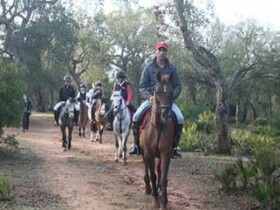 Stages vacances scolaires à Rabat Poney club de Rabat Stages vacances scolaires Rabat