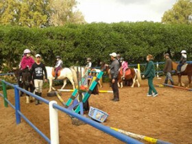 Ecoles à Rabat Poney club de Rabat Ecoles Rabat