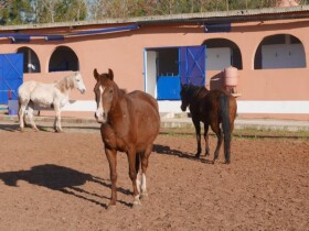 La perle du Lac La perle du Lac Salé