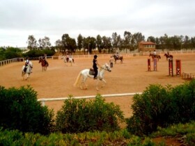 Ferme équestre Riyad Mohammedia Ferme équestre Riyad Mohammedia Mohammédia