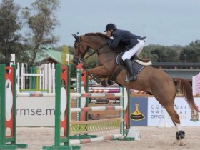 Club équestre Dar Essalam Club équestre Dar Essalam Rabat