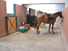 Club équestre Dar Essalam Club équestre Dar Essalam Rabat