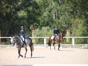 équitation à benslimane à Mohammédia équitation à benslimane à Mohammédia