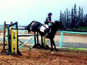 Abraj Atlas d'équitation Abraj Atlas d'équitation Marrakech