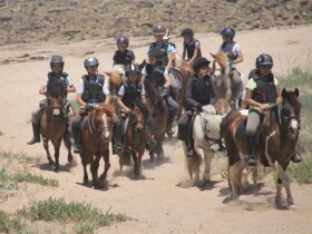 Cercle Amical Français de Casablanca CAFC à Casablanca Cercle Amical Français de Casablanca CAFC Cercle Amical Français de Casablanca CAFC Casablanca