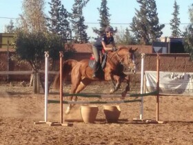 Les écuries de Marrakech à Marrakech