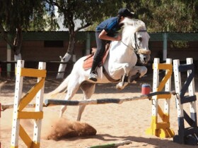 Club Equestrian Ould Jmel à Casablanca Club Equestrian Ould Jmel à Casablanca