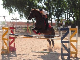 Club Equestrian Ould Jmel Club Equestrian Ould Jmel Casablanca