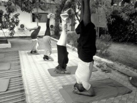 Daryoga à Casablanca Daryoga à Casablanca