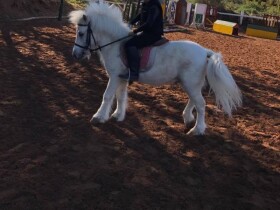 Club de l'étrier à Agadir Club de l'étrier Club de l'étrier Agadir