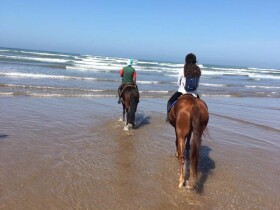 Club de l'étrier à Agadir Club de l'étrier Club de l'étrier Agadir