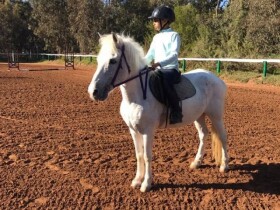 Club de l'étrier à Agadir Club de l'étrier Club de l'étrier Agadir