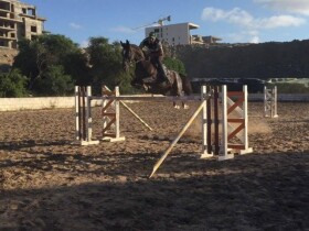 Royal Club Equestre Anfa à Casablanca Royal Club Equestre Anfa à Casablanca