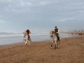 Royal Club Equestre Anfa Royal Club Equestre Anfa Casablanca