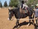 Royal Club Equestre du Lac