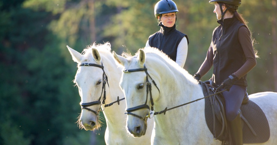 L'équitation, un sport complet aux multiples bienfaits